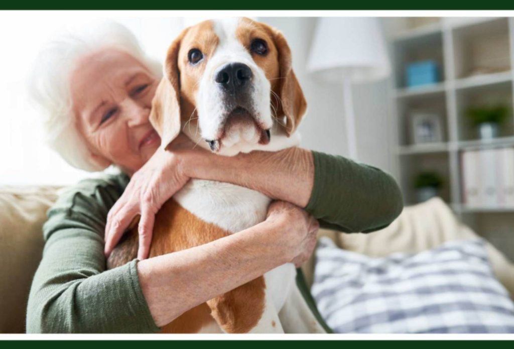 How Pets Boost Senior Mental Health